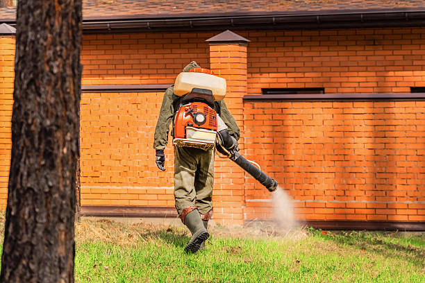 Bed Bug Clearance Verification and Documentation in Woodville